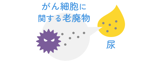 がん細胞に関する老廃物